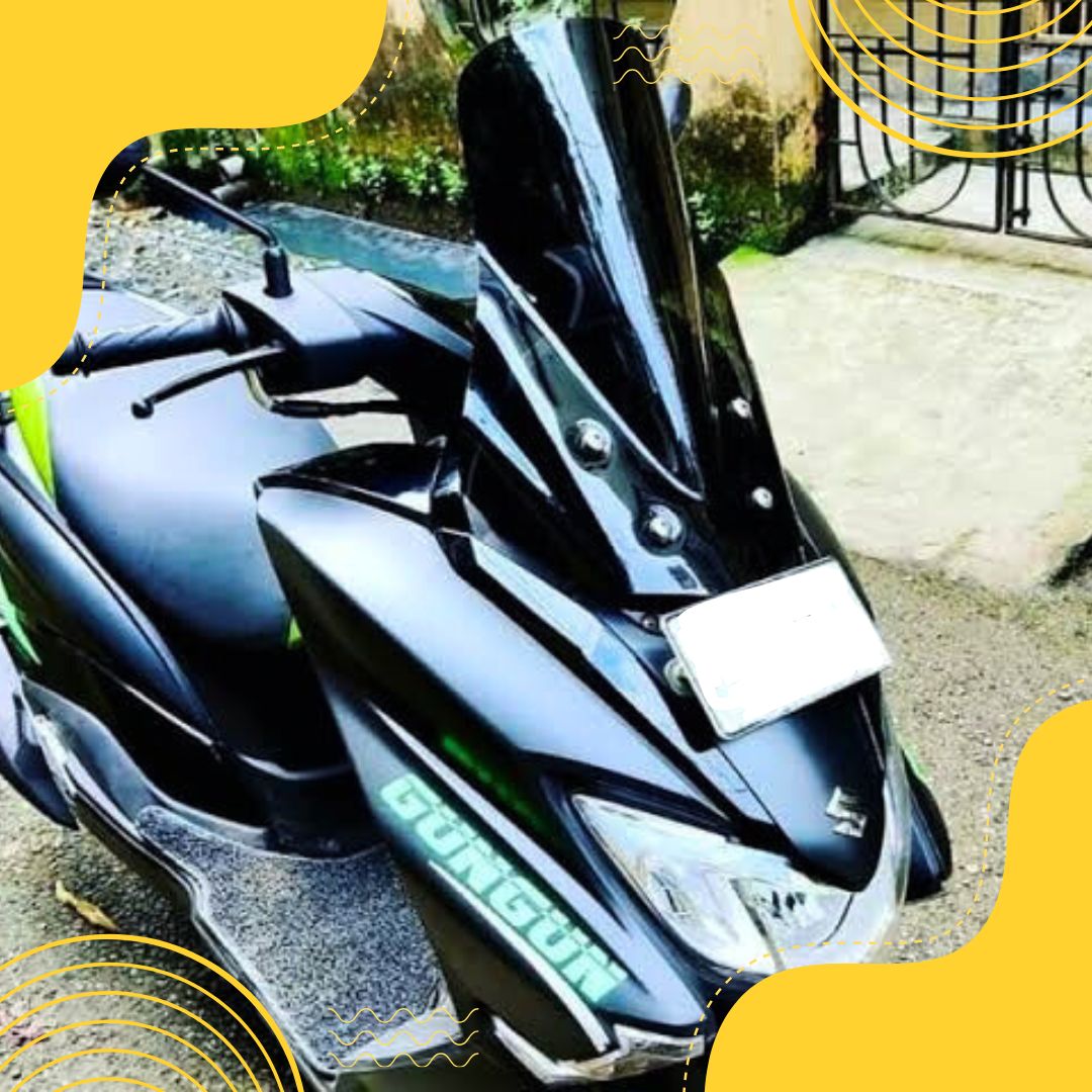 Burgman Visor V1