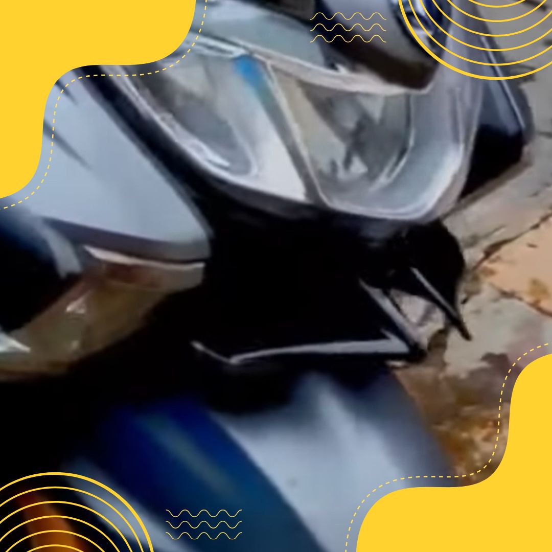Burgman Winglet