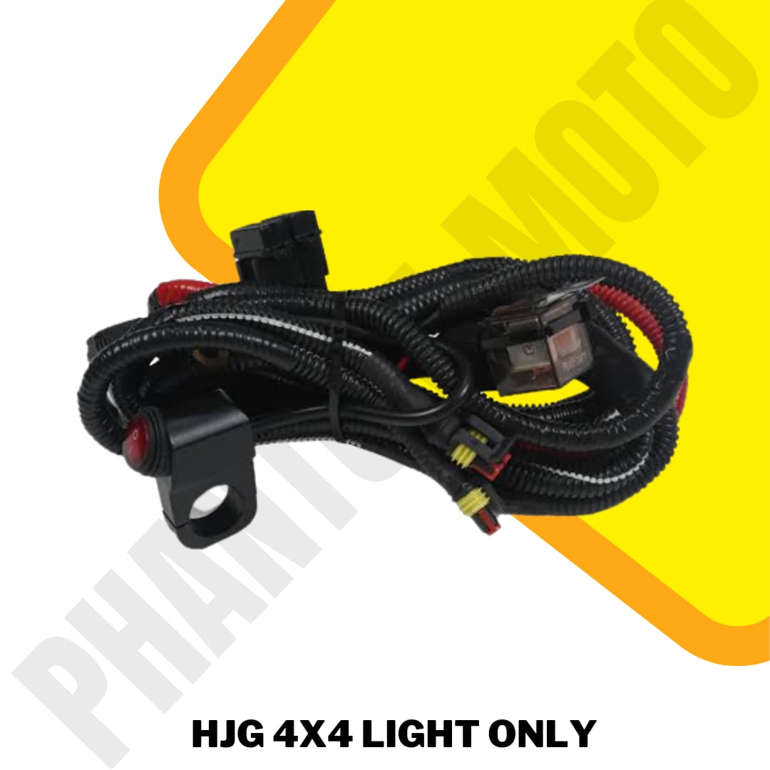 Harness For Dual Colour Fog Light