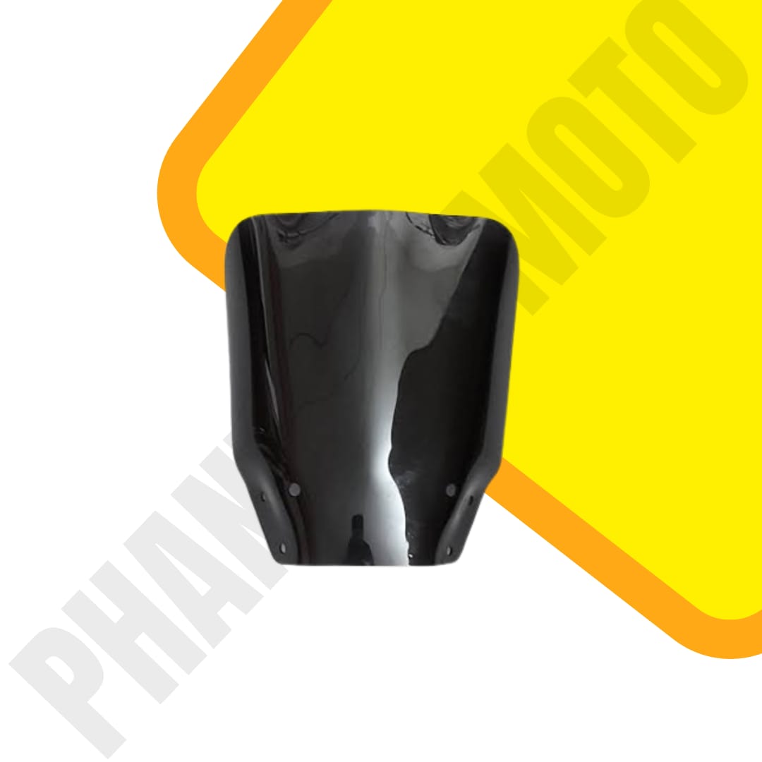Xpulse Touring Visor